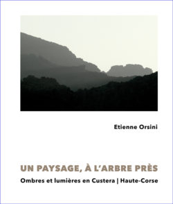 Etienne Orsini | Un paysage, à l'arbre près